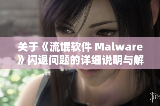 关于《流氓软件 Malware》闪退问题的详细说明与解决方案