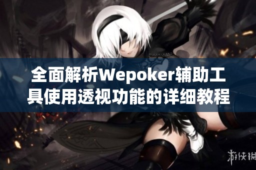 全面解析Wepoker辅助工具使用透视功能的详细教程