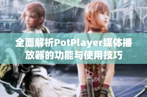 全面解析PotPlayer媒体播放器的功能与使用技巧