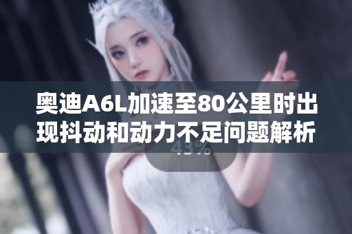 奥迪A6L加速至80公里时出现抖动和动力不足问题解析