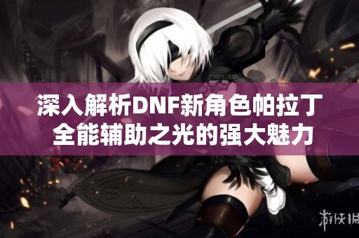 深入解析DNF新角色帕拉丁 全能辅助之光的强大魅力与潜力