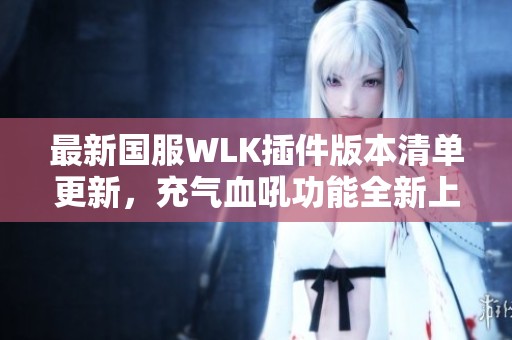 最新国服WLK插件版本清单更新，充气血吼功能全新上线