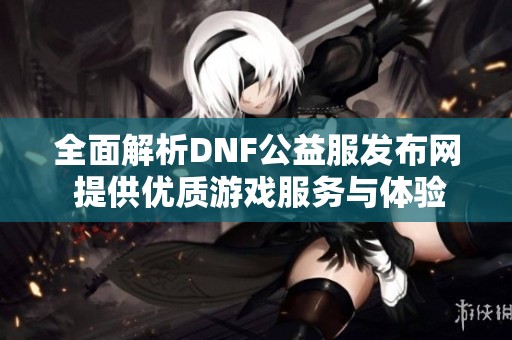 全面解析DNF公益服发布网 提供优质游戏服务与体验