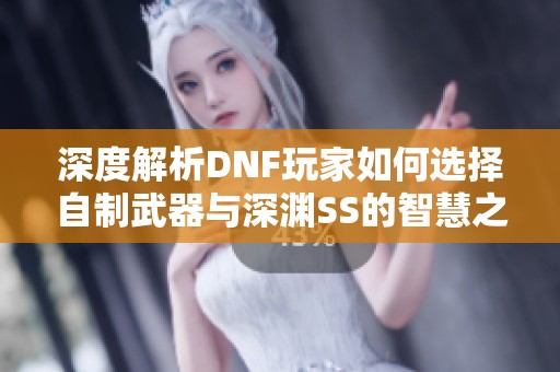 深度解析DNF玩家如何选择自制武器与深渊SS的智慧之路