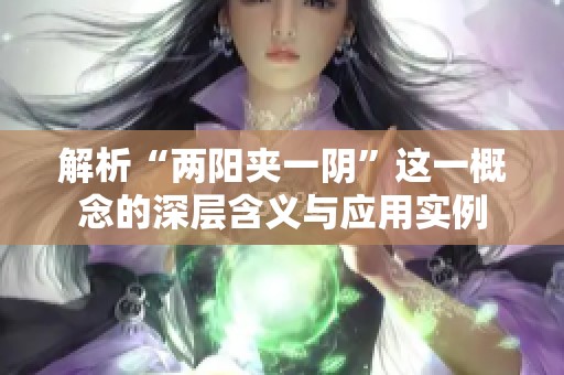 解析“两阳夹一阴”这一概念的深层含义与应用实例