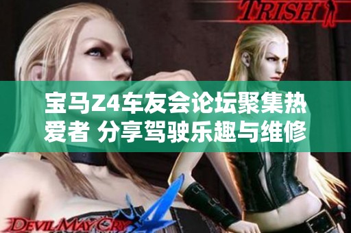 宝马Z4车友会论坛聚集热爱者 分享驾驶乐趣与维修技巧