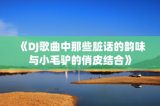 《DJ歌曲中那些脏话的韵味与小毛驴的俏皮结合》