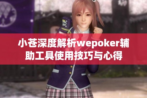 小苍深度解析wepoker辅助工具使用技巧与心得