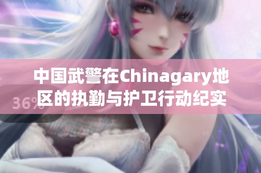 中国武警在Chinagary地区的执勤与护卫行动纪实