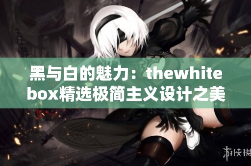 黑与白的魅力：thewhitebox精选极简主义设计之美