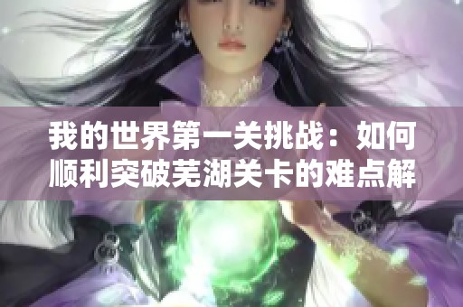 我的世界第一关挑战：如何顺利突破芜湖关卡的难点解析