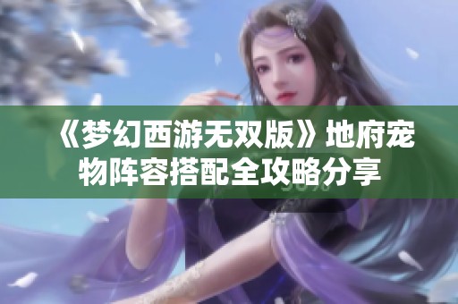 《梦幻西游无双版》地府宠物阵容搭配全攻略分享