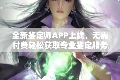 全新鉴定师APP上线，无需付费轻松获取专业鉴定服务