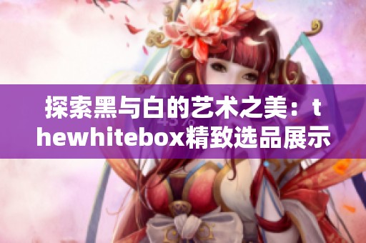 探索黑与白的艺术之美：thewhitebox精致选品展示