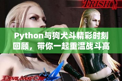 Python与狗犬斗精彩时刻回顾，带你一起重温战斗高潮