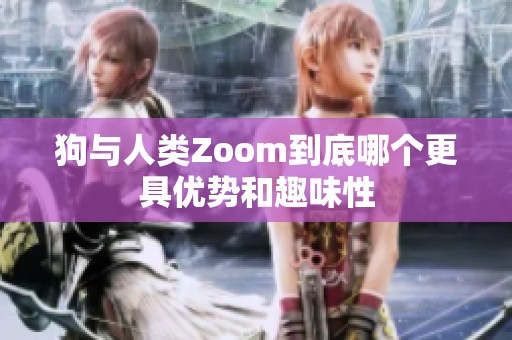 狗与人类Zoom到底哪个更具优势和趣味性