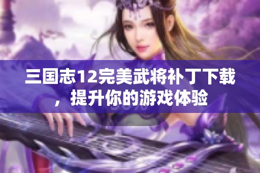 三国志12完美武将补丁下载，提升你的游戏体验