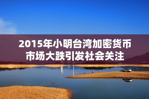 2015年小明台湾加密货币市场大跌引发社会关注