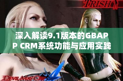 深入解读9.1版本的GBAPP CRM系统功能与应用实践