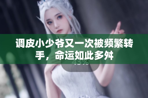 调皮小少爷又一次被频繁转手，命运如此多舛