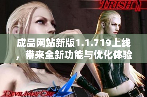 成品网站新版1.1.719上线，带来全新功能与优化体验