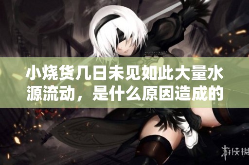 小烧货几日未见如此大量水源流动，是什么原因造成的？