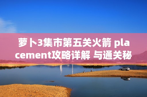 萝卜3集市第五关火箭 placement攻略详解 与通关秘籍位置一网打尽