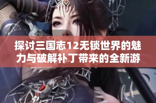 探讨三国志12无锁世界的魅力与破解补丁带来的全新游戏体验