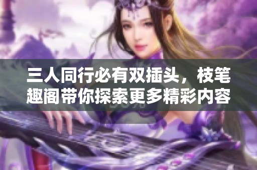 三人同行必有双插头，枝笔趣阁带你探索更多精彩内容