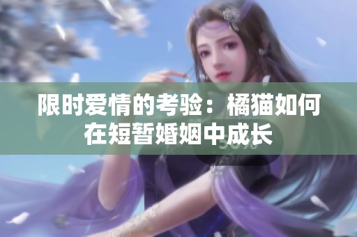 限时爱情的考验：橘猫如何在短暂婚姻中成长