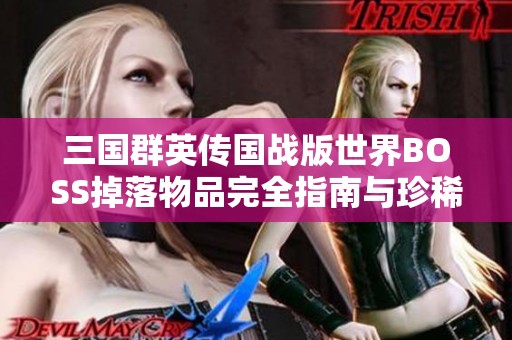 三国群英传国战版世界BOSS掉落物品完全指南与珍稀道具揭秘