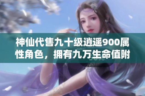 神仙代售九十级逍遥900属性角色，拥有九万生命值附带悟道八的穷奇装备