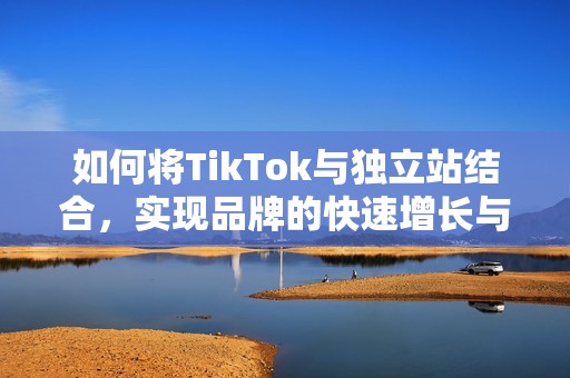 如何将TikTok与独立站结合，实现品牌的快速增长与传播