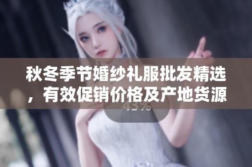 秋冬季节婚纱礼服批发精选，有效促销价格及产地货源一站式了解