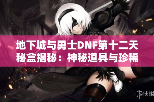 地下城与勇士DNF第十二天秘盒揭秘：神秘道具与珍稀奖励全解析