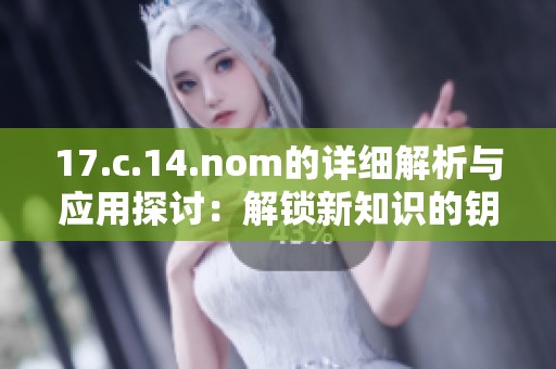 17.c.14.nom的详细解析与应用探讨：解锁新知识的钥匙与思维的扩展