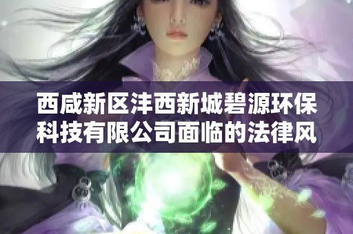 西咸新区沣西新城碧源环保科技有限公司面临的法律风险解析与应对策略