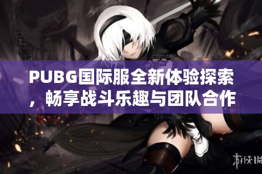 PUBG国际服全新体验探索，畅享战斗乐趣与团队合作的极致挑战